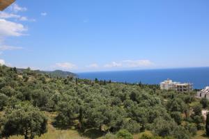 la maroja view hotel