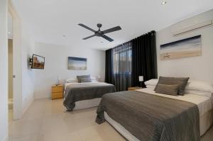 jacaranda noosa