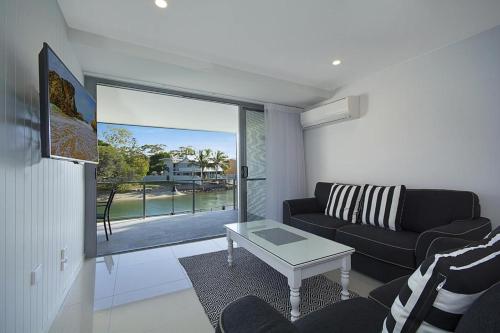 jacaranda noosa