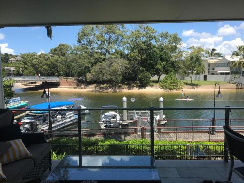 jacaranda noosa