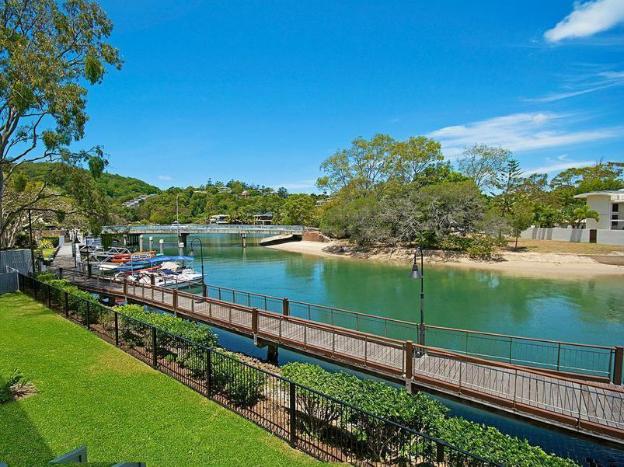 jacaranda noosa