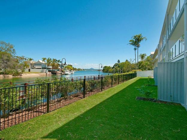jacaranda noosa