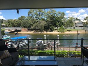 jacaranda noosa