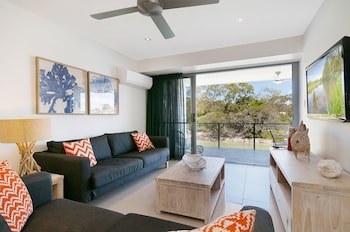 jacaranda noosa