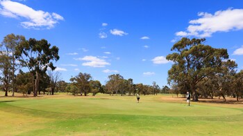 moama central motel