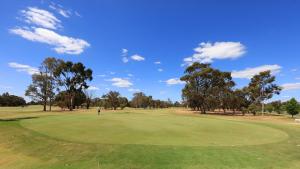 moama central motel