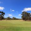 moama central motel