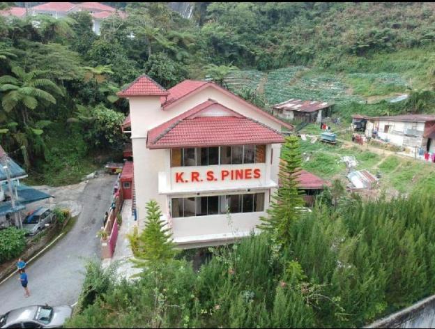 krs pines