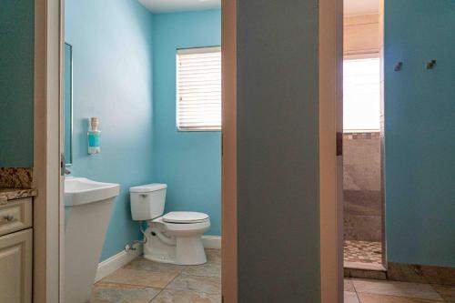 beds n drinks hostel