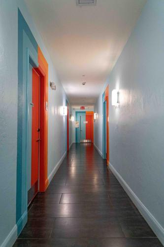 beds n drinks hostel