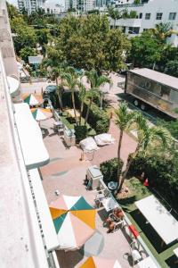 beds n drinks hostel