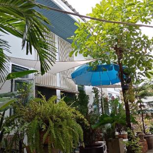 daddys home huahin