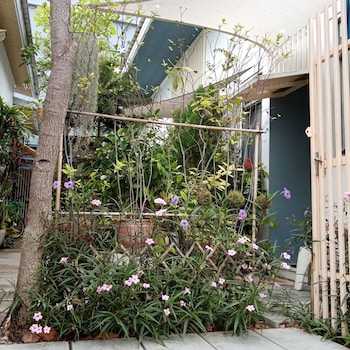 Daddy's Home Huahin,Hua Hin>>Cha-Am,3 star