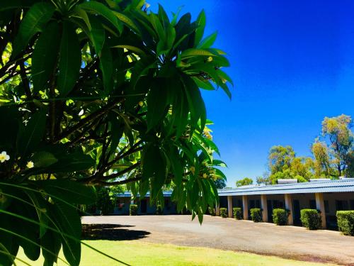 Balonne River Motor Inn,Roma>>Queensland,3 star