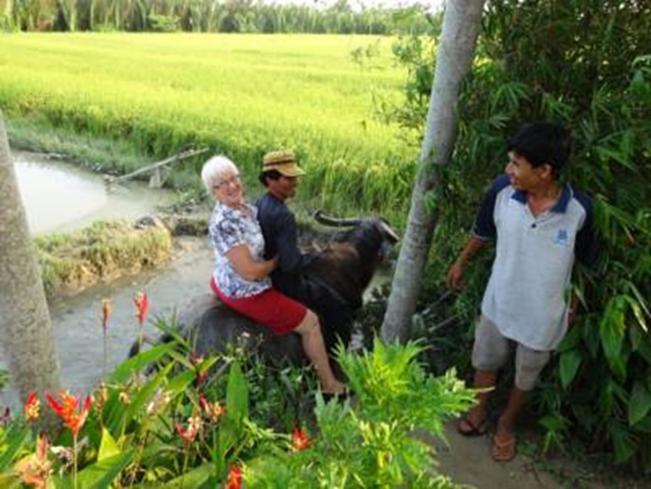 hoi an life homestay