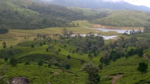munnar