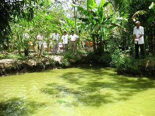 le garden villa homestay