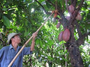 le garden villa homestay