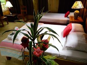 Casa Drake,Ciudad Cortes>>Bahía Drake,3 star