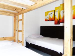 apartasuites san marcos