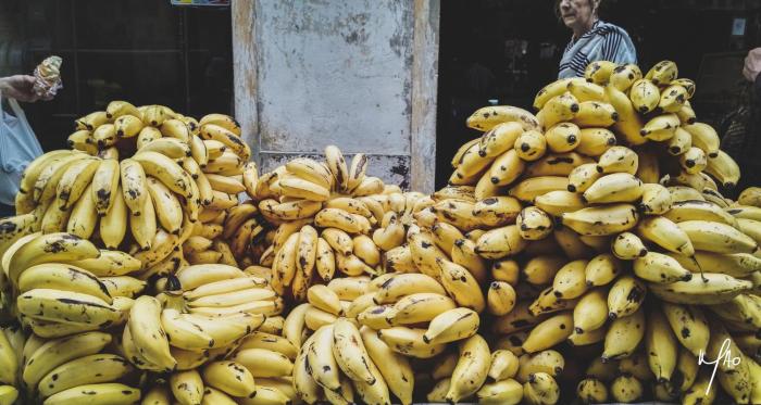 hotel summer frente al mar