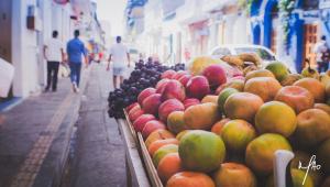 hotel summer frente al mar