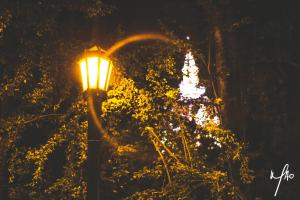 hotel summer frente al mar