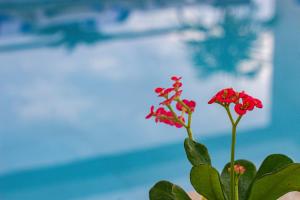 hotel summer frente al mar