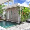 villa turtle