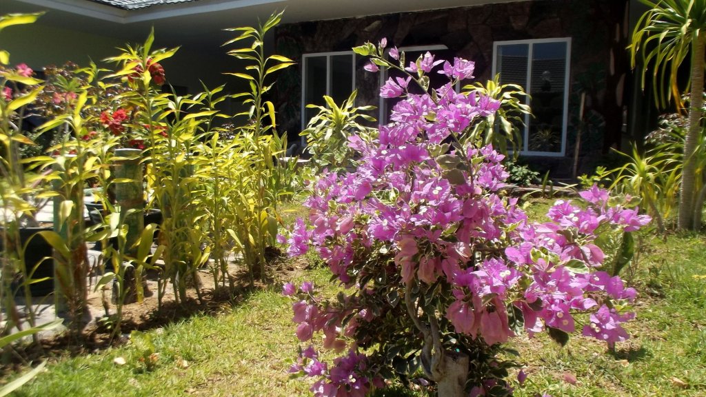 komodo boutique hotel