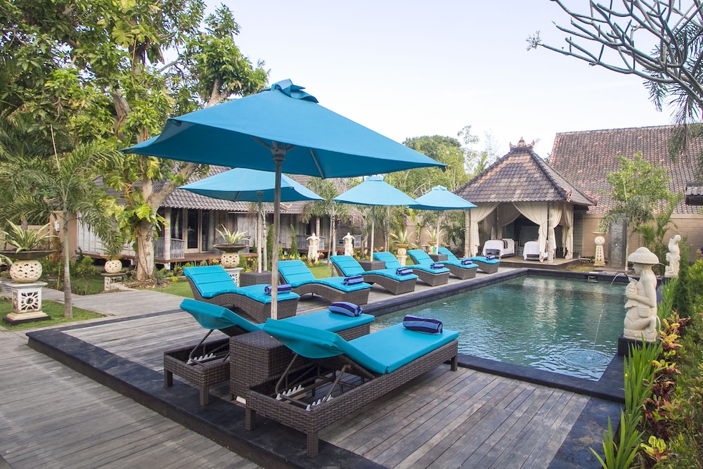 the palm grove