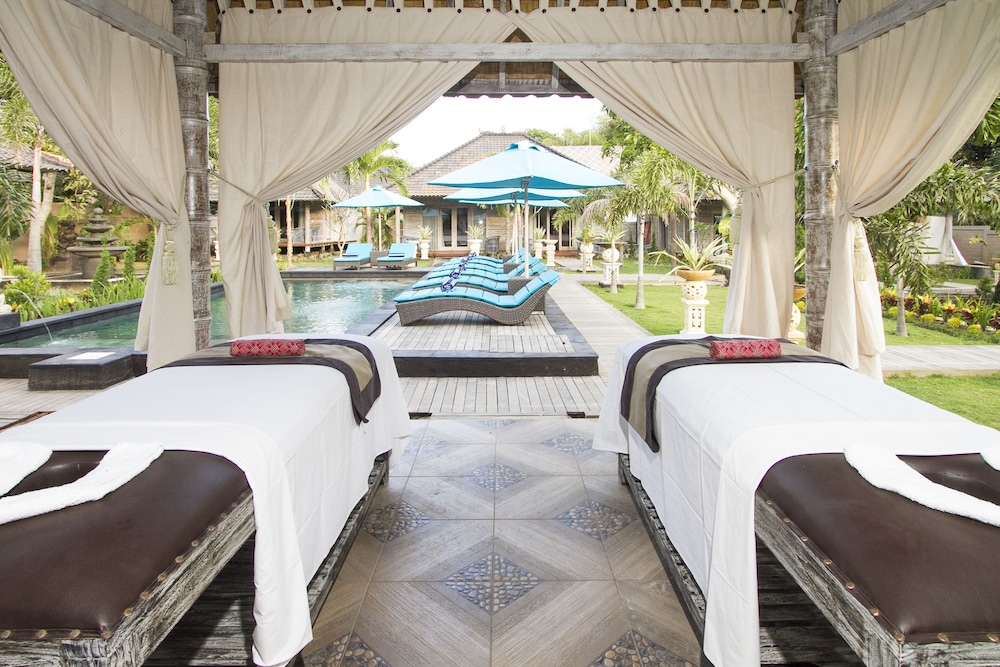 the palm grove