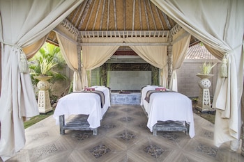 the palm grove