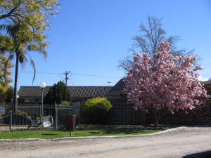 belvoir village motel and apartments wodonga