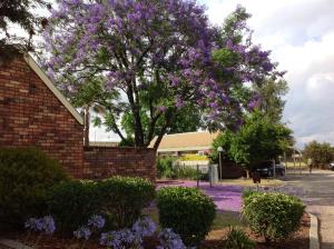 belvoir village motel and apartments wodonga