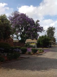 belvoir village motel and apartments wodonga