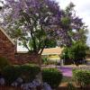 belvoir village motel and apartments wodonga