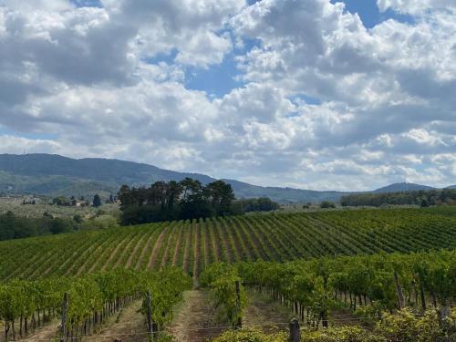 villa medicea di lilliano