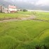 bishnu homestay