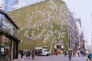 b my guesthouse hostel