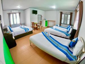 revolution pai hostel