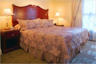 courtyard by marriott new orleans french quarter iberville