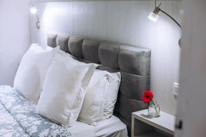 artemis cynthia complex