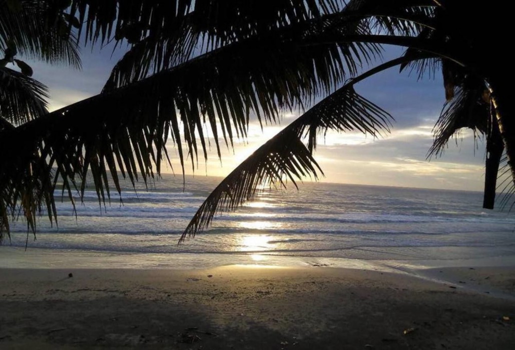 apple beachfront resort