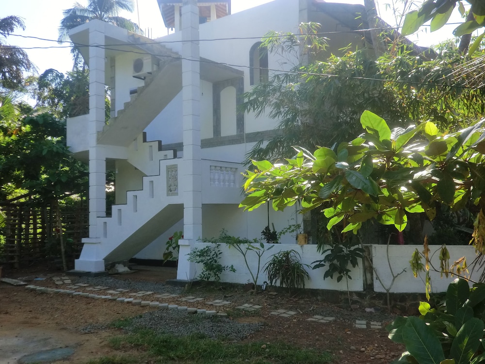 peacock wings guest house