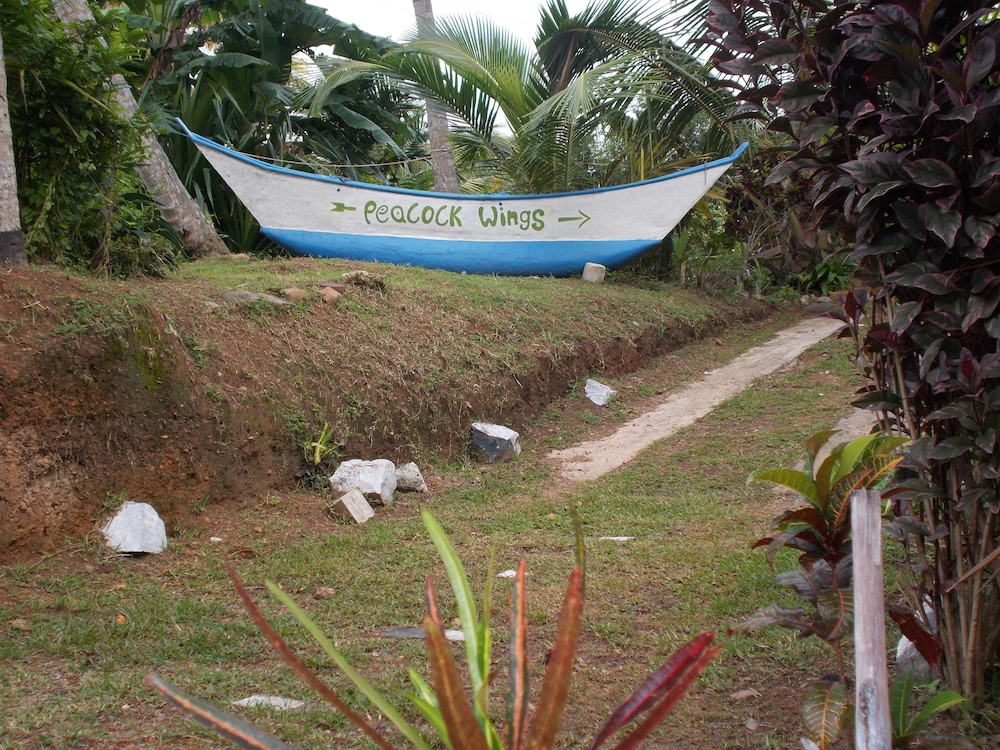 peacock wings guest house