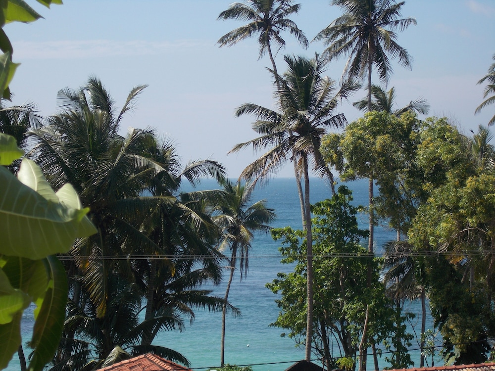 peacock wings guest house
