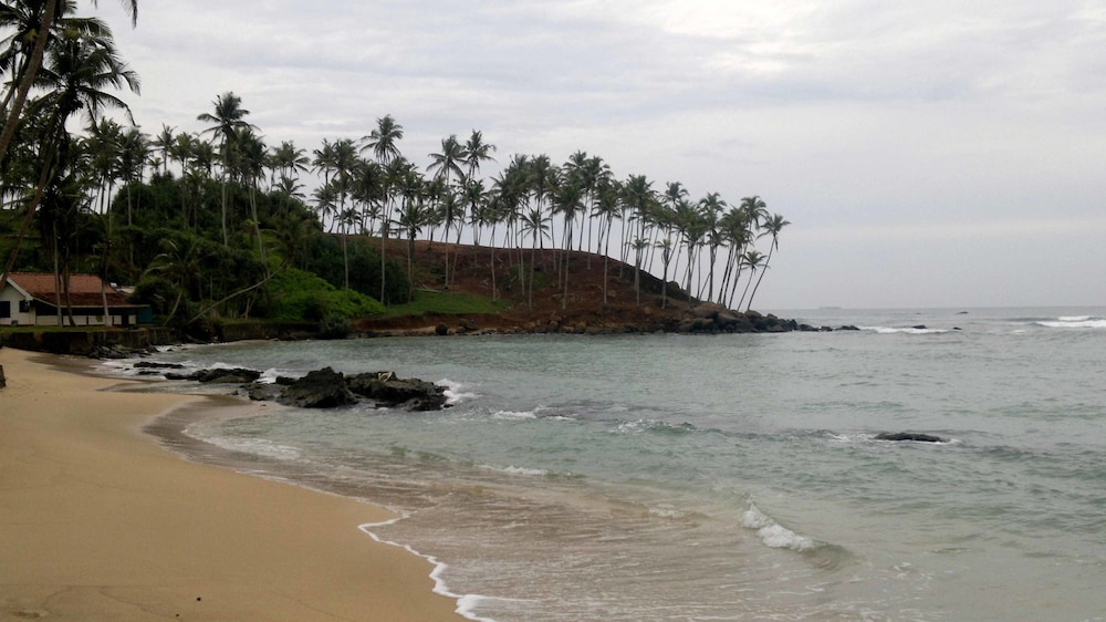 peacock wings guest house