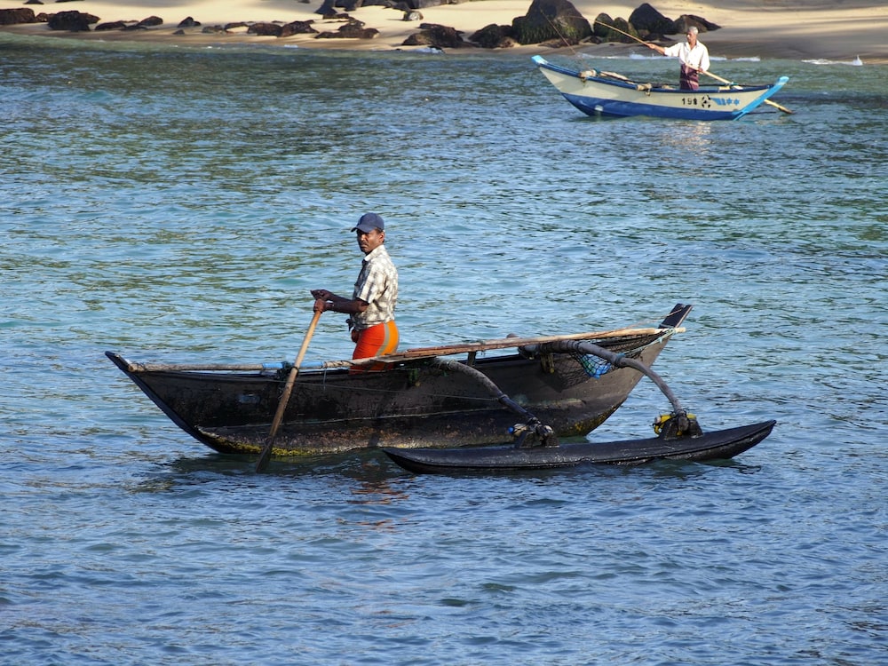 peacock wings guest house