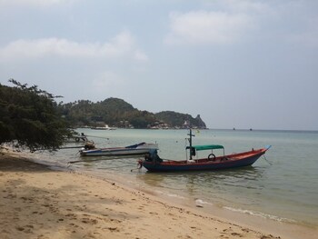 koh tao